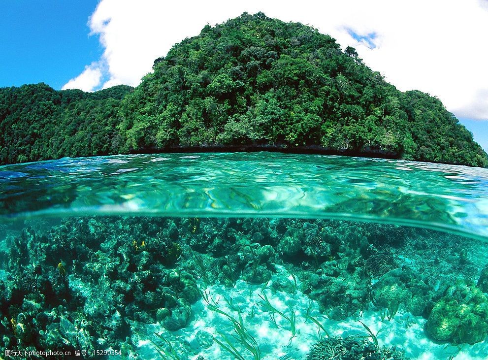 关键词:超好海底景观 山森林海底水珊瑚 旅游摄影 自然风景 摄影图库