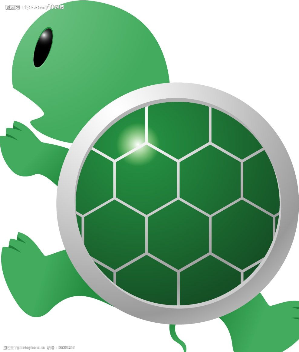 绿色乌龟动画片图片