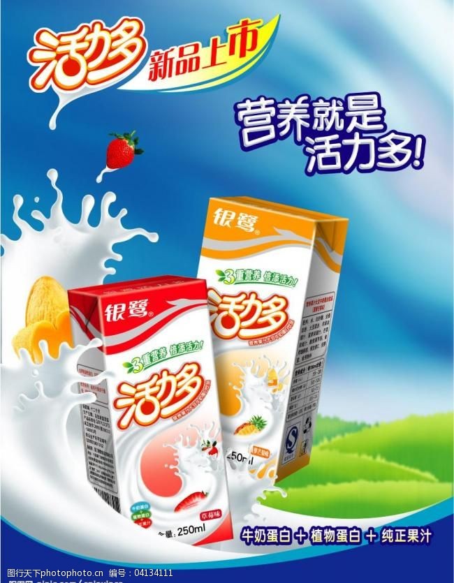 银鹭活力多图片