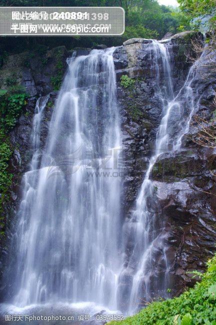 大自然环保绿叶蔬菜绿色环保绿色植物水户外图片-图行天下图库